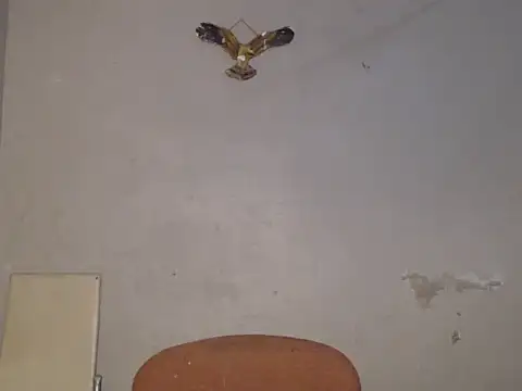 Frank X Husle online show from 07-09-26, 06:56