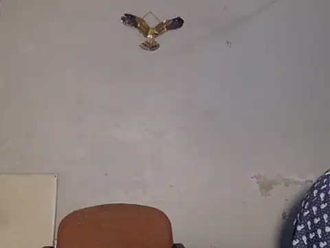 Frank X Husle online show from 07-13-26, 09:50