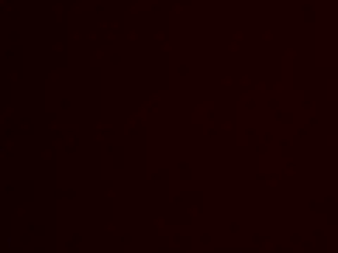 Leeszim26 online show from 06-06-26, 12:05