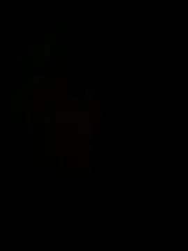 hook9sex online show from 06-11-26, 04:54