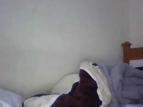 Dina Nina online show from 08-07-26, 10:12