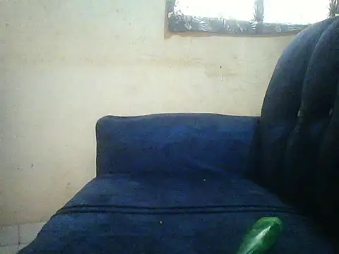 HomeBully online show from 07-08-26, 12:09