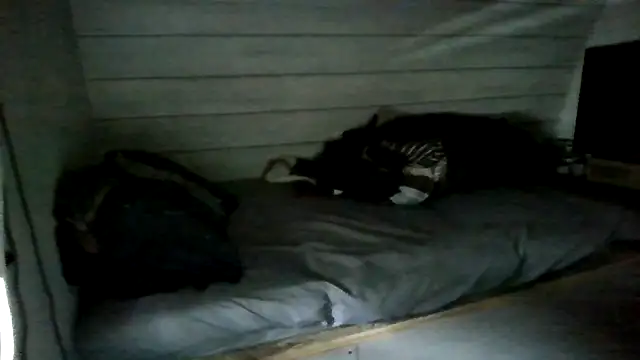 ThisGuy42o online show from 07-05-26, 04:25