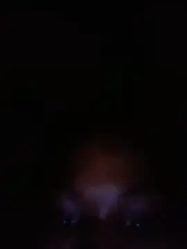 SalutedNonsense online show from 06-18-26, 11:36