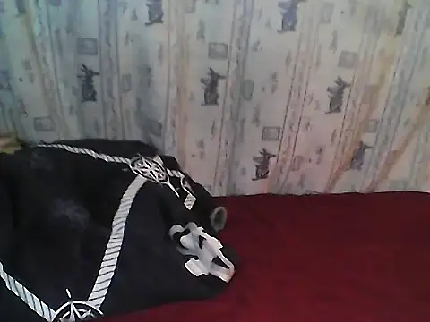 Snapshot of Buchi_sexylady chatting on 06-19-26, 07:17 Buchi sexylady online show from 06-19-26, 07:17