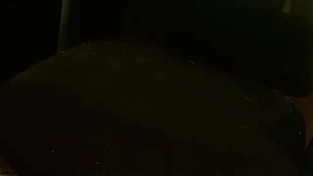 MagicCockMan online show from 06-20-26, 03:20
