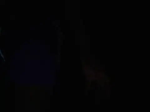jwelbae online show from 08-07-26, 01:13