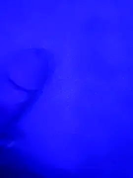Bite229 online show from 08-05-26, 05:43