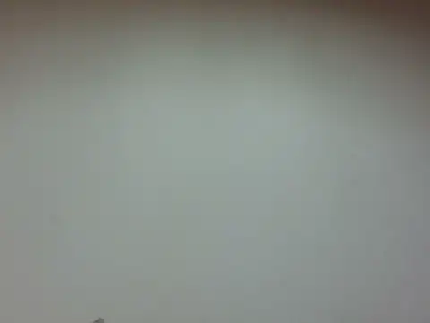 LiaBellini online show from 07-28-26, 06:53