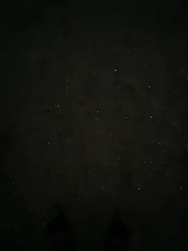 stay8curious online show from 07-16-26, 12:49