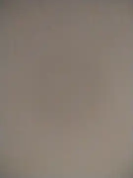 Magnolia 99 online show from 07-19-26, 08:07