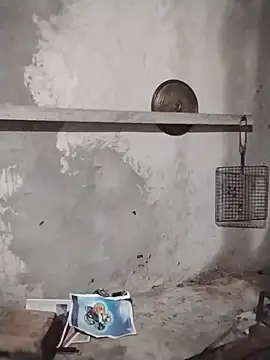 Kylie-rosee online show from 07-29-26, 10:08