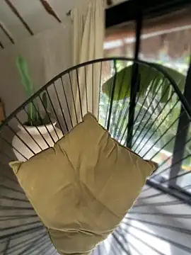 Blaackcat online show from 11-25-25, 08:20