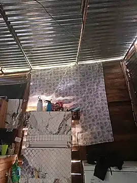 daireana online show from 08-04-26, 12:19