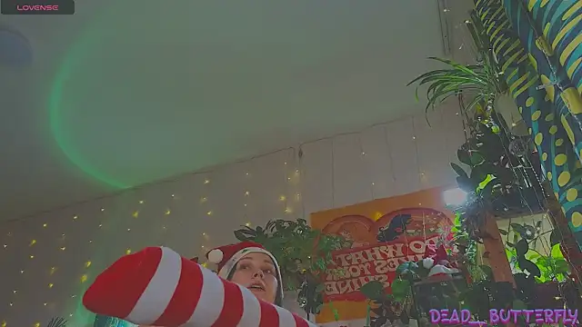 Dead Butterfly online show from 12-27-24, 04:15