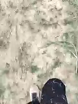 ThethunderPo online show from 01-18-25, 02:25