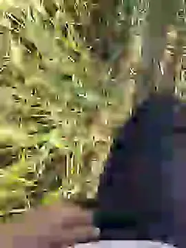 ThethunderPo online show from 03-18-25, 02:36