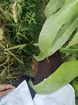 ThethunderPo online show from 03-21-25, 02:50