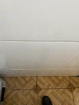 descret 19 online show from 02-11-26, 02:55