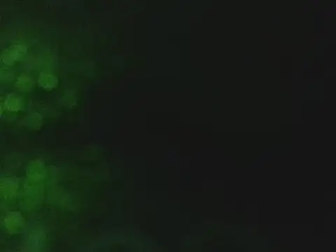 lonelycock33 online show from 11-07-25, 09:48