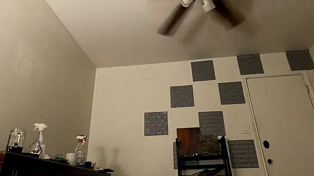 Snapshot of TheDaisyChaos chatting on 03-14-25, 01:27 TheDaisyChaos online show from 03-14-25, 01:27