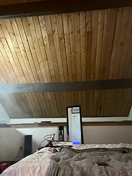 odbodu online show from 11-23-25, 08:58