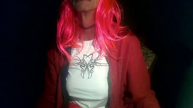 Python43 online show from 01-25-25, 08:42