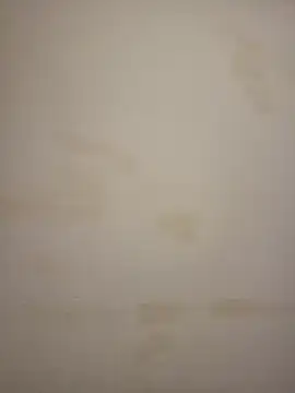 Adivaaa online show from 03-25-26, 11:27