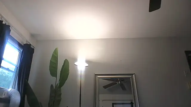 Snapshot of WetFlower69 chatting on 07-29-26, 01:42 WetFlower69 online show from 07-29-26, 01:42