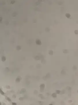 Lolo45605 online show from 03-04-26, 02:12