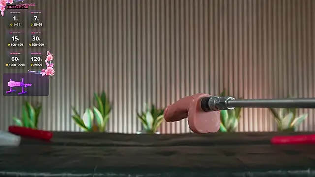 Snapshot of NiceHotJob chatting on 03-04-25, 09:54 NiceHotJob online show from 03-04-25, 09:54