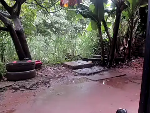 venusandzeusxh online show from 10-14-25, 01:01