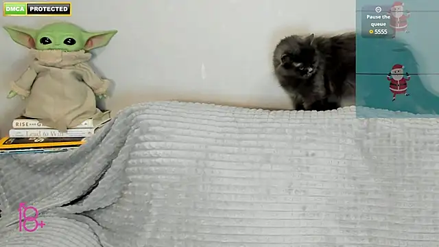 Snapshot of 3ight33nplus chatting on 12-22-24, 07:31 3ight33nplus online show from 12-22-24, 07:31