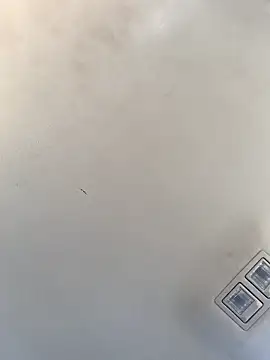 Tristris100 online show from 12-23-24, 08:14