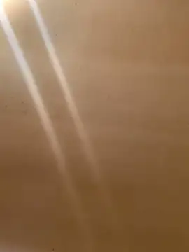 Tristris100 online show from 03-09-25, 10:08