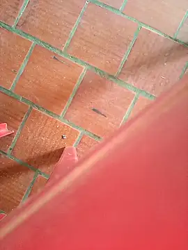 Snapshot of Brenda_Berck_ chatting on 09-12-25, 02:06 Brenda Berck online show from 09-12-25, 02:06