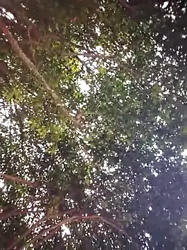 Brenda Berck  online show from 04-05-26, 12:57