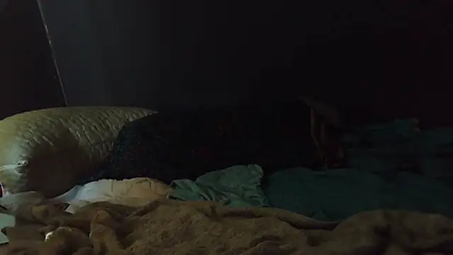 k-dong online show from 02-01-26, 04:49