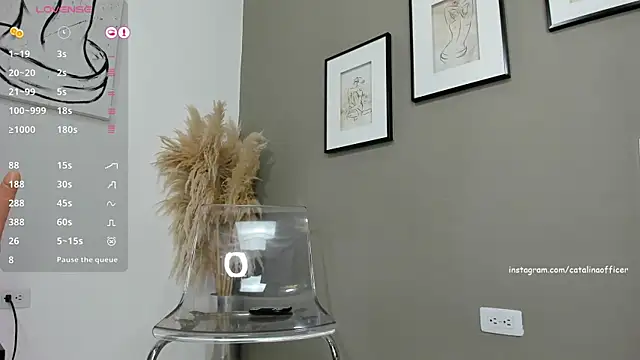 catalinaofficer online show from 12-25-24, 07:24