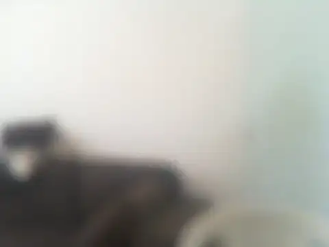 Snapshot of ConradinhoBR50 chatting on 04-19-26, 02:27 ConradinhoBR50 online show from 04-19-26, 02:27