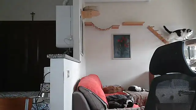 simona60 online show from 02-09-25, 02:07