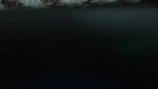 Leo Big online show from 09-23-25, 11:19