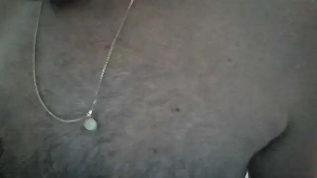 Leo Big online show from 02-26-26, 10:14