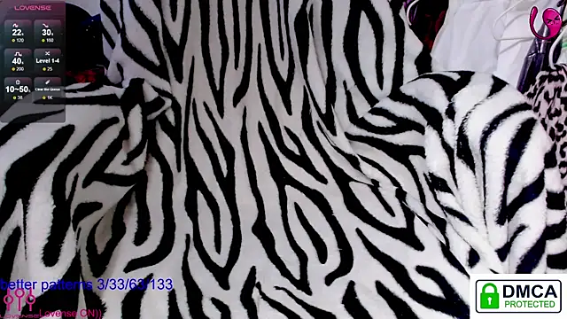 sweet cute cat online show from 06-20-26, 08:06
