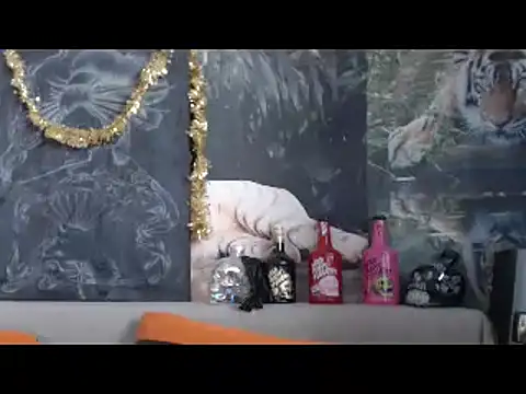 viking 30 online show from 02-20-26, 06:48