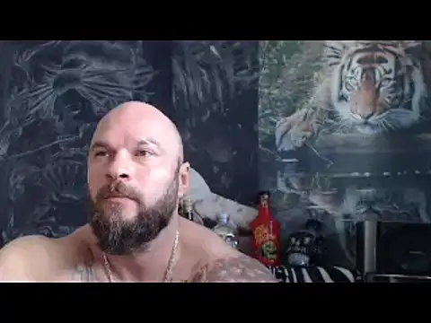 viking 30 online show from 04-22-26, 06:16