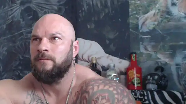 viking 30 online show from 05-21-26, 06:42