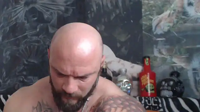 viking 30 online show from 05-22-26, 06:53