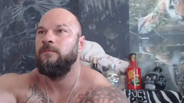 viking 30 online show from 06-24-26, 06:34