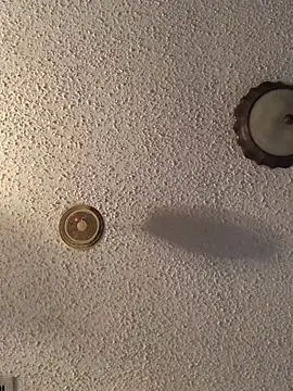 danieldonte online show from 04-23-26, 12:51